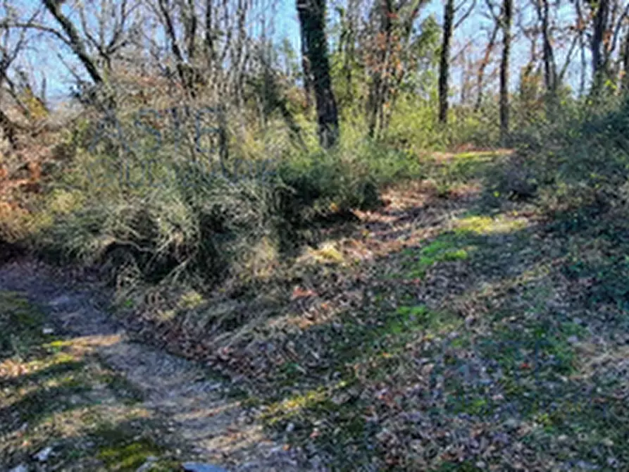 Immagine 6 di Terreno edificabile in vendita  in Località Mortaro a Baschi