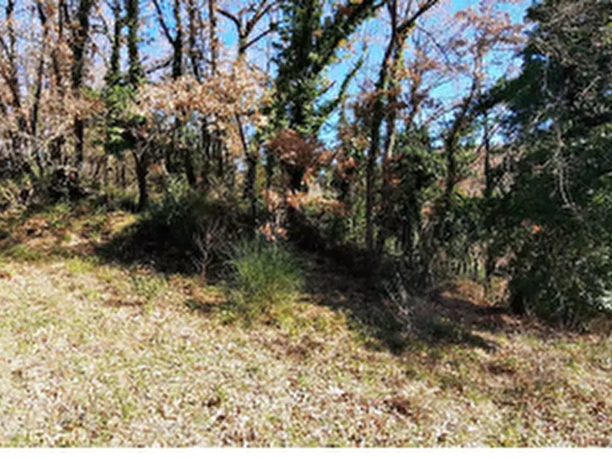 Immagine 7 di Terreno edificabile in vendita  in Località Mortaro a Baschi