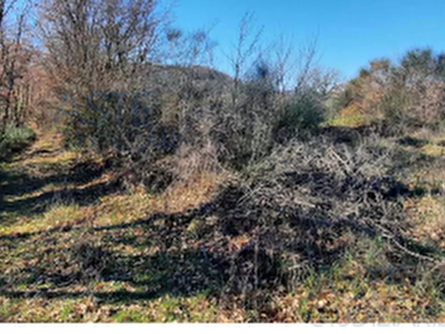 Immagine 8 di Terreno edificabile in vendita  in Località Mortaro a Baschi