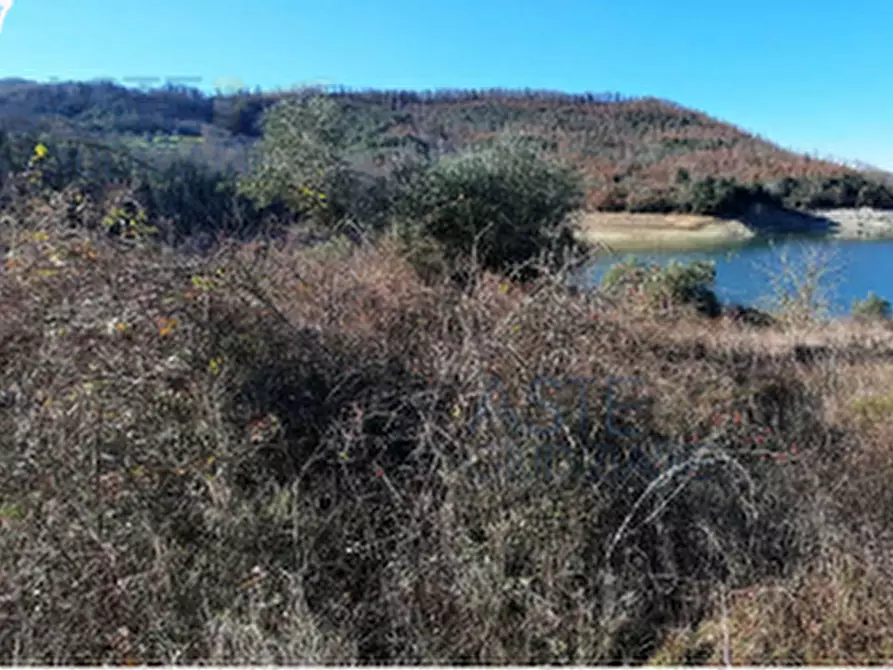 Immagine 10 di Terreno edificabile in vendita  in Località Mortaro a Baschi