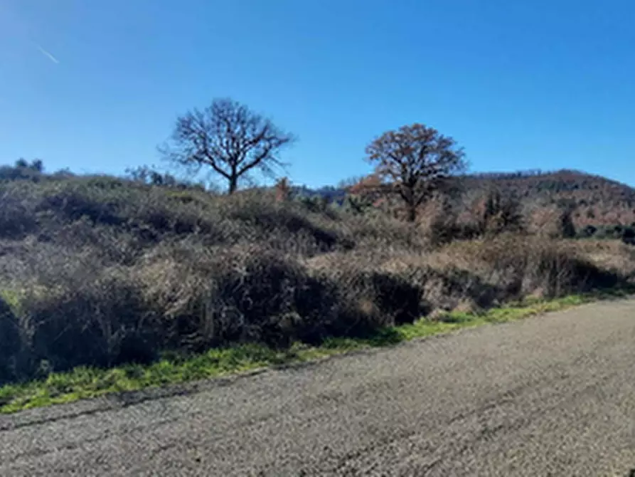 Immagine 11 di Terreno edificabile in vendita  in Località Mortaro a Baschi