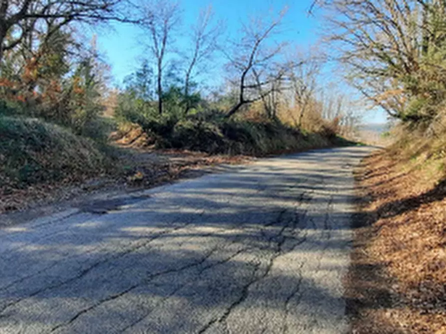 Immagine 12 di Terreno edificabile in vendita  in Località Mortaro a Baschi