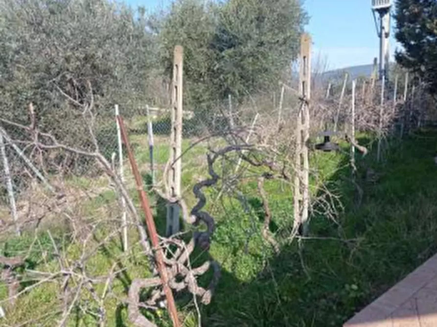 Immagine 5 di Casa indipendente in vendita  in Strada di campolagno a Terni