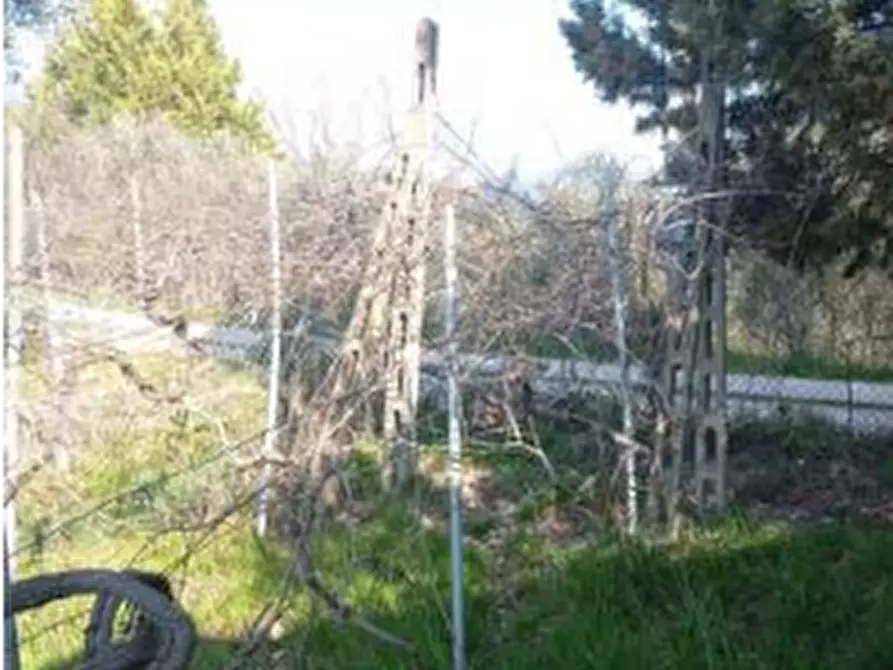 Immagine 6 di Casa indipendente in vendita  in Strada di campolagno a Terni