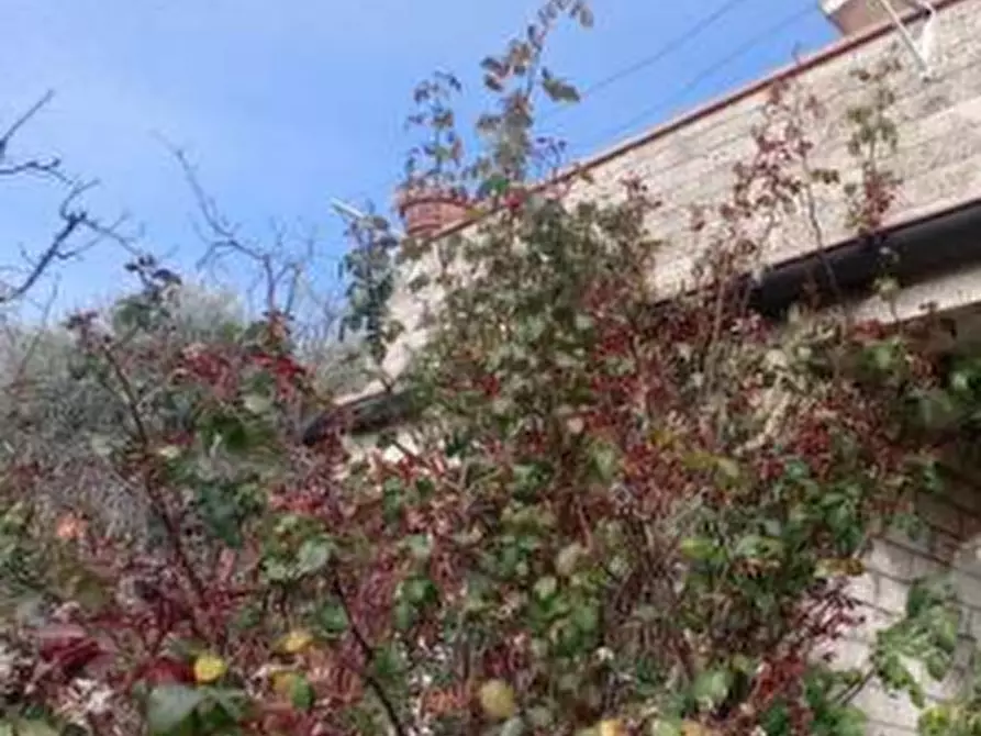 Immagine 9 di Casa indipendente in vendita  in Strada di campolagno a Terni