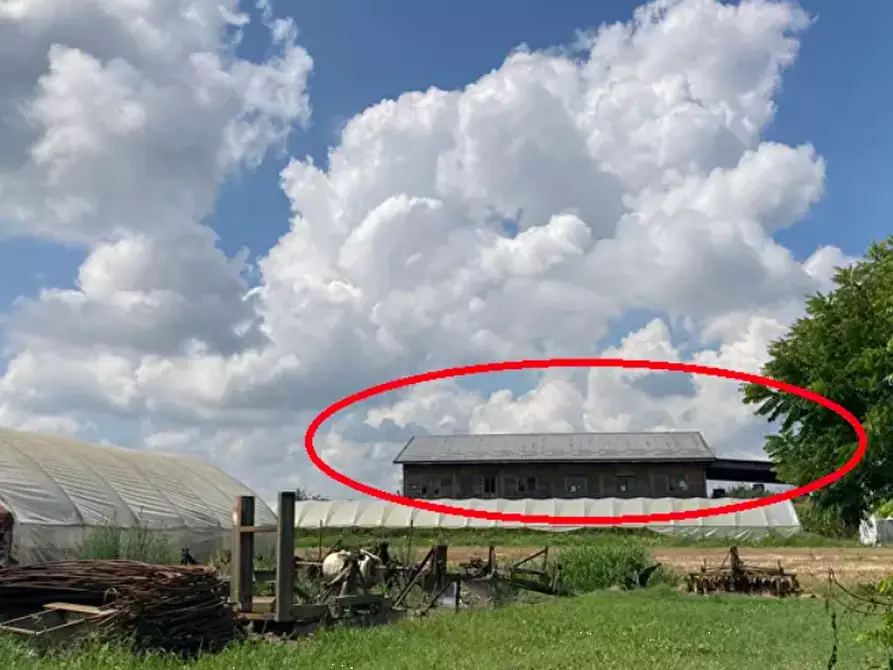 Immagine 3 di Terreno agricolo in vendita  in Via Tetti Mauriti a Villastellone