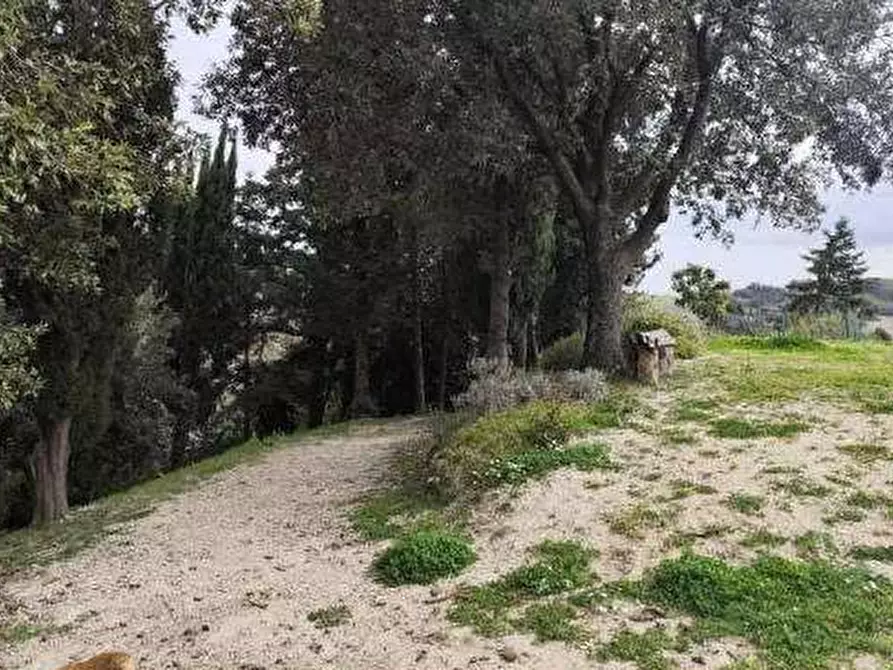 Immagine 23 di Stabile in vendita  in Via di Mezzo a Colli Al Metauro