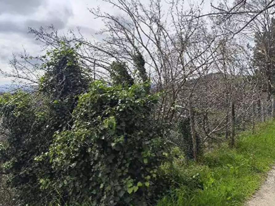 Immagine 27 di Stabile in vendita  in Via di Mezzo a Colli Al Metauro