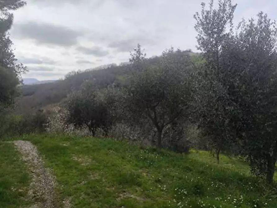 Immagine 29 di Stabile in vendita  in Via di Mezzo a Colli Al Metauro