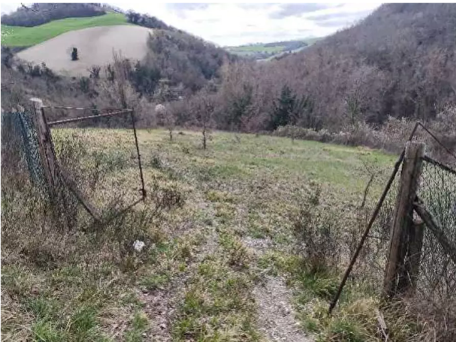 Immagine 30 di Stabile in vendita  in Via di Mezzo a Colli Al Metauro