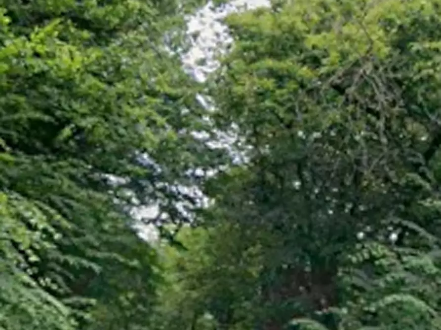 Immagine 10 di Rustico / casale in vendita  in Via Vista a Lusernetta