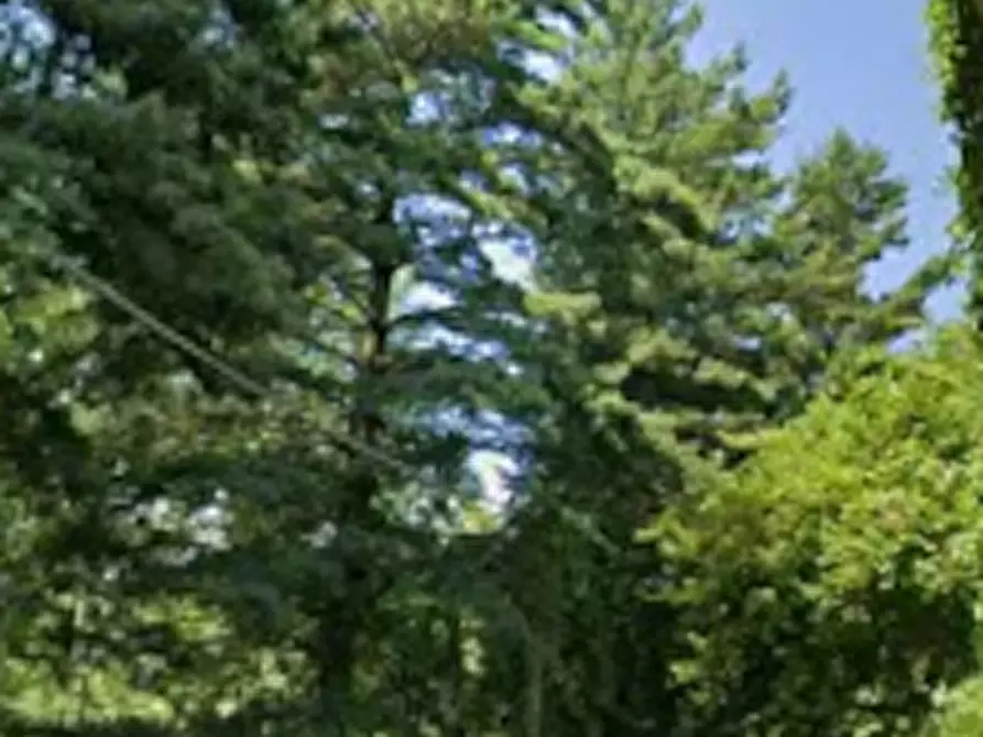 Immagine 10 di Appartamento in vendita  in Via San Vincenzo a Bibiana