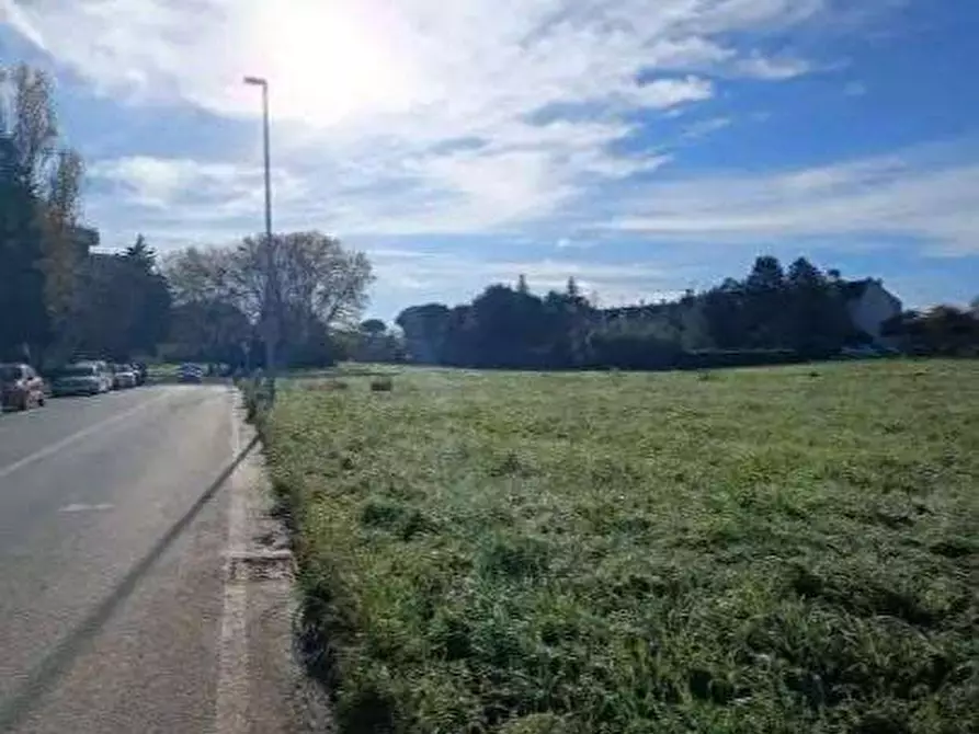 Immagine 5 di Terreno agricolo in vendita  in Via Roma a Fano