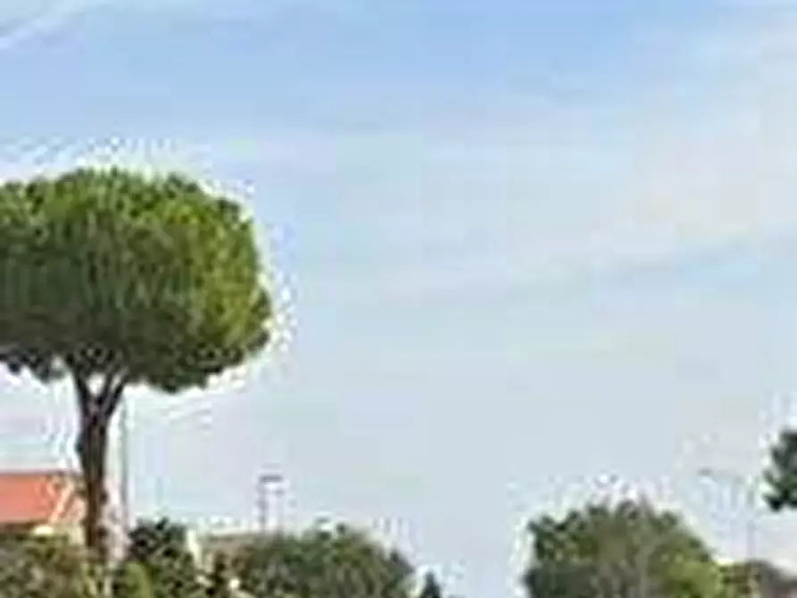 Immagine 7 di Terreno agricolo in vendita  in Via Roma a Fano