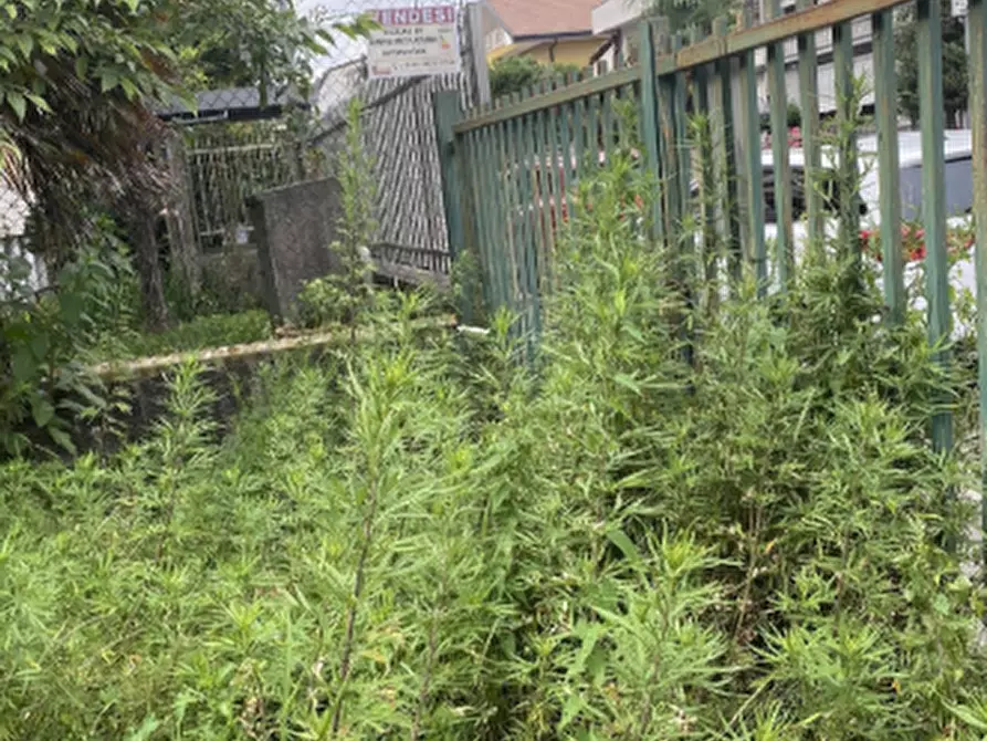 Immagine 3 di Terreno agricolo in vendita  in Via Varese a Garbagnate Milanese