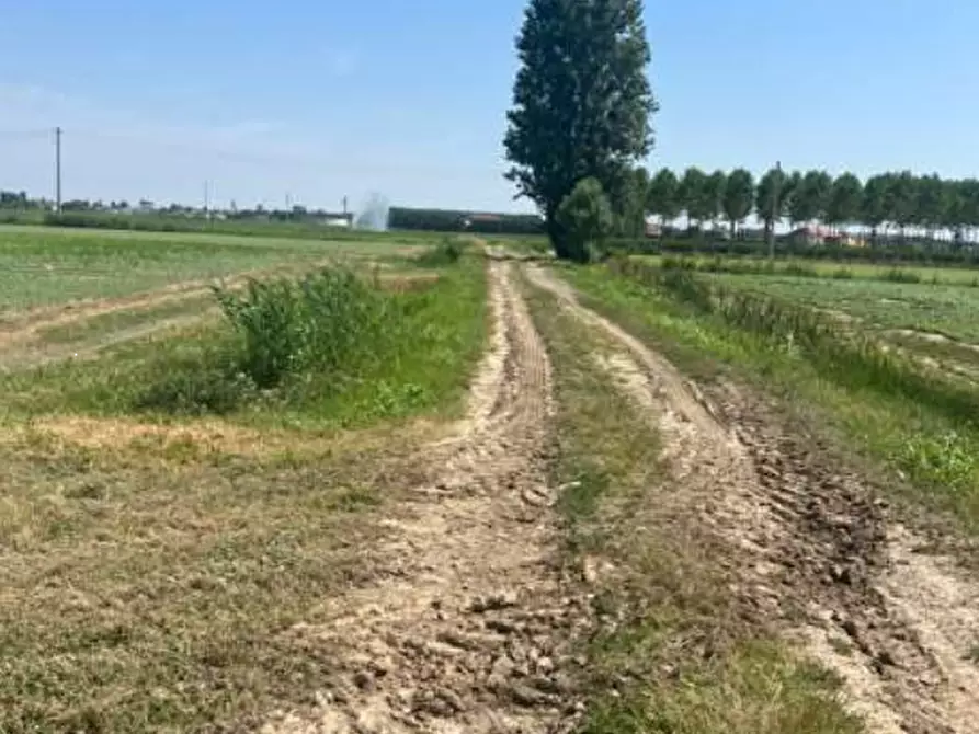 Immagine 4 di Terreno agricolo in vendita  in Strada Barchessa a Villimpenta