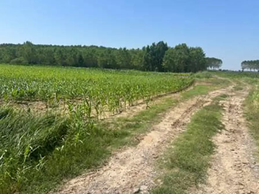 Immagine 5 di Terreno agricolo in vendita  in Strada Barchessa a Villimpenta