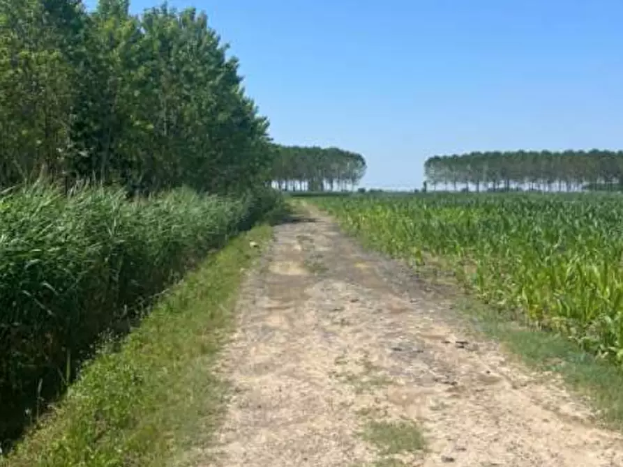 Immagine 9 di Terreno agricolo in vendita  in Strada Barchessa a Villimpenta