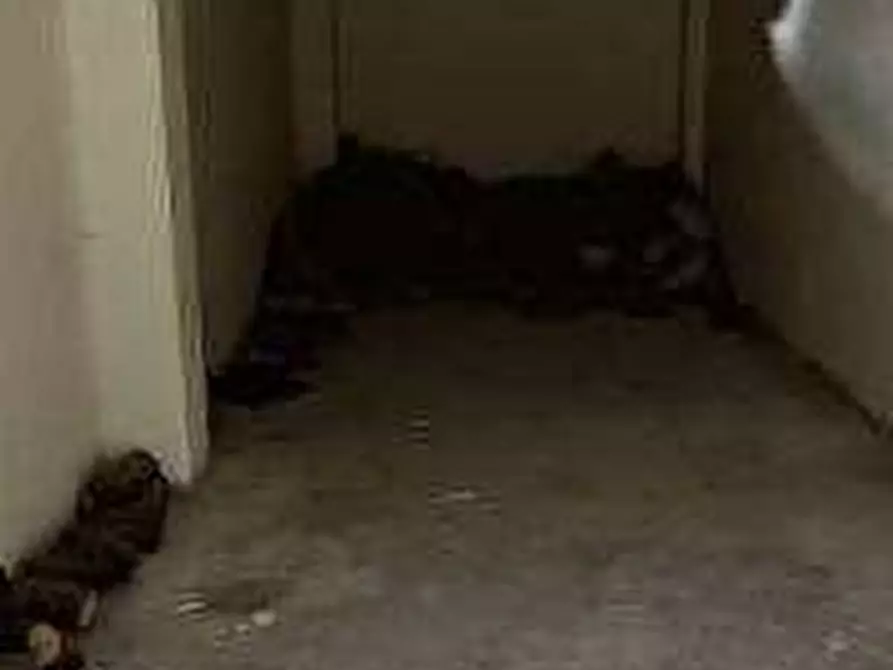 Immagine 5 di Appartamento in vendita  in Str. Fontana Sistina a Monastero Di Lanzo