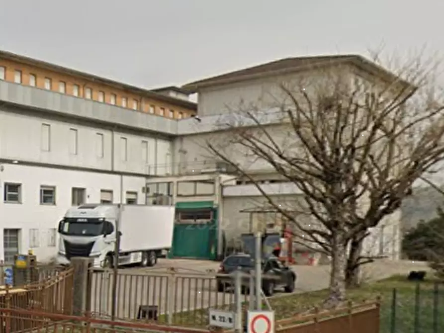 Immagine 7 di Capannone industriale in vendita  in Via Cascinapiano a Langhirano