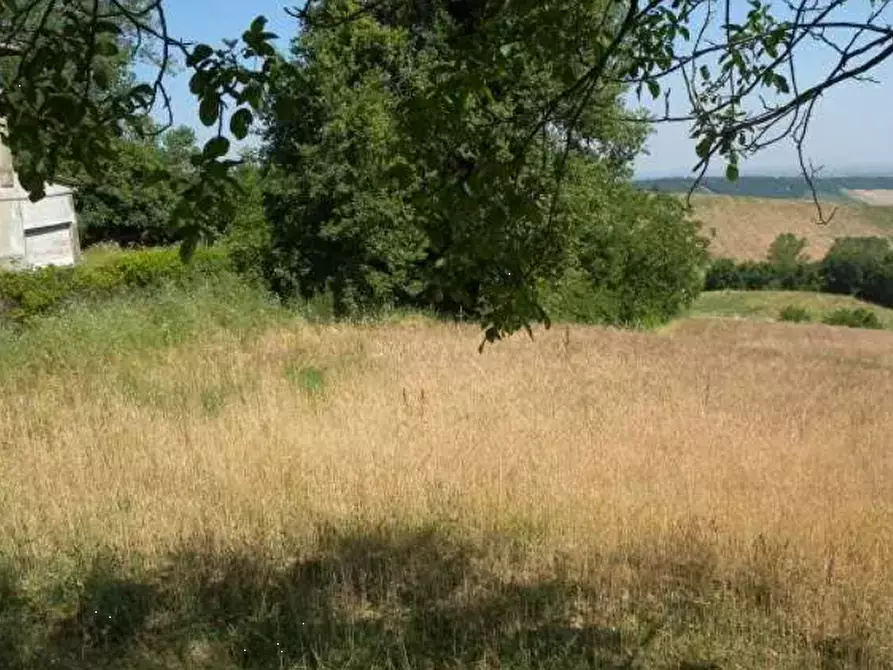 Immagine 2 di Terreno agricolo in vendita  in Strada comunale di Gabbiano a Noceto