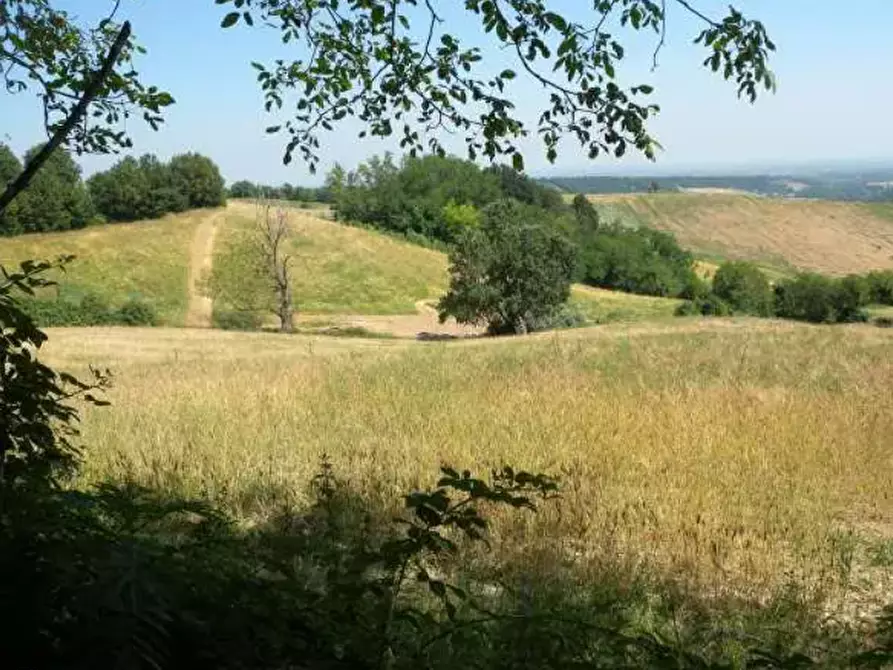 Immagine 5 di Terreno agricolo in vendita  in Strada comunale di Gabbiano a Noceto