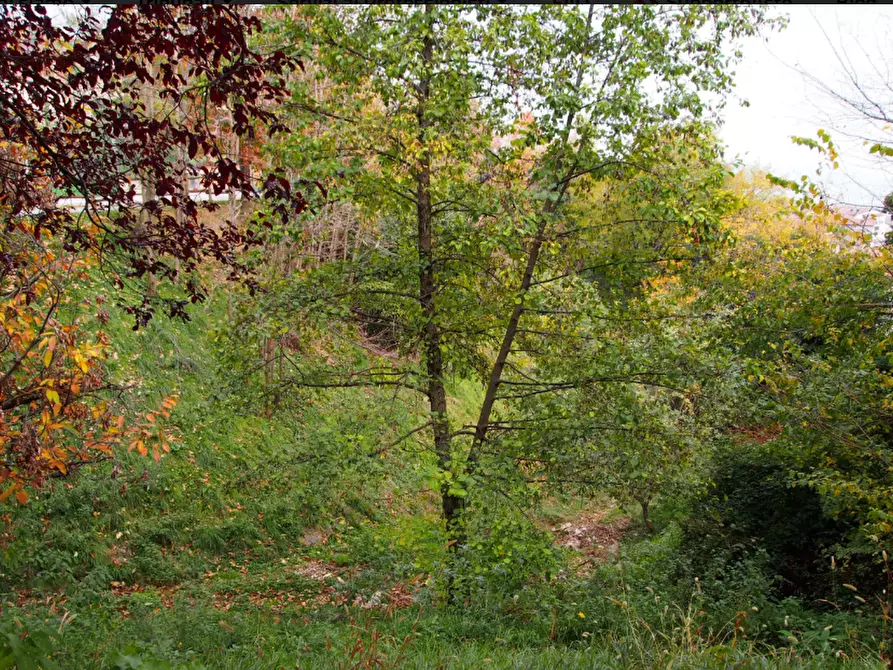 Immagine 8 di Casa indipendente in vendita  in via Casucco a Almenno San Bartolomeo