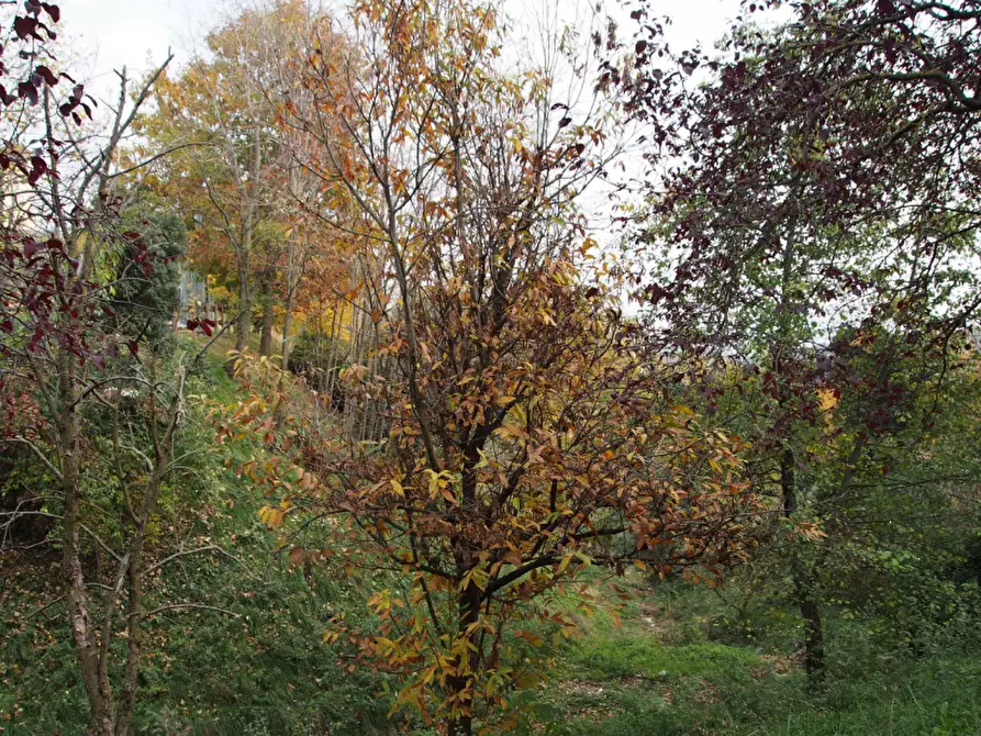 Immagine 9 di Casa indipendente in vendita  in via Casucco a Almenno San Bartolomeo