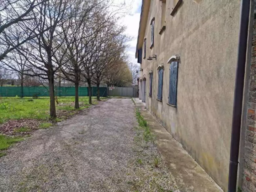 Immagine 2 di Negozio in vendita  in Via Muson a Santa Maria Di Sala