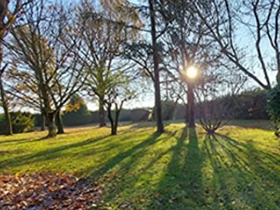 Immagine 5 di Casa bifamiliare in vendita  in Strada Barchetta a Modena