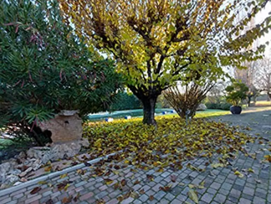 Immagine 9 di Casa bifamiliare in vendita  in Strada Barchetta a Modena