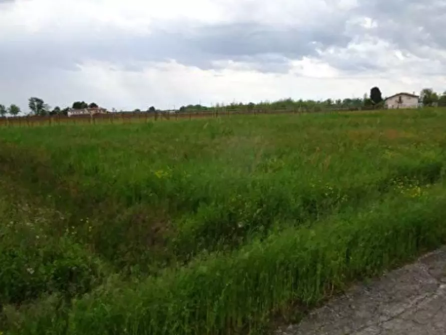 Immagine 2 di Terreno agricolo in vendita  in Via Risorgimento a Fiume Veneto