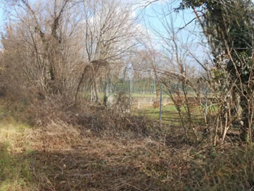 Immagine 4 di Terreno agricolo in vendita  in via giovanni minzoni a Aviano