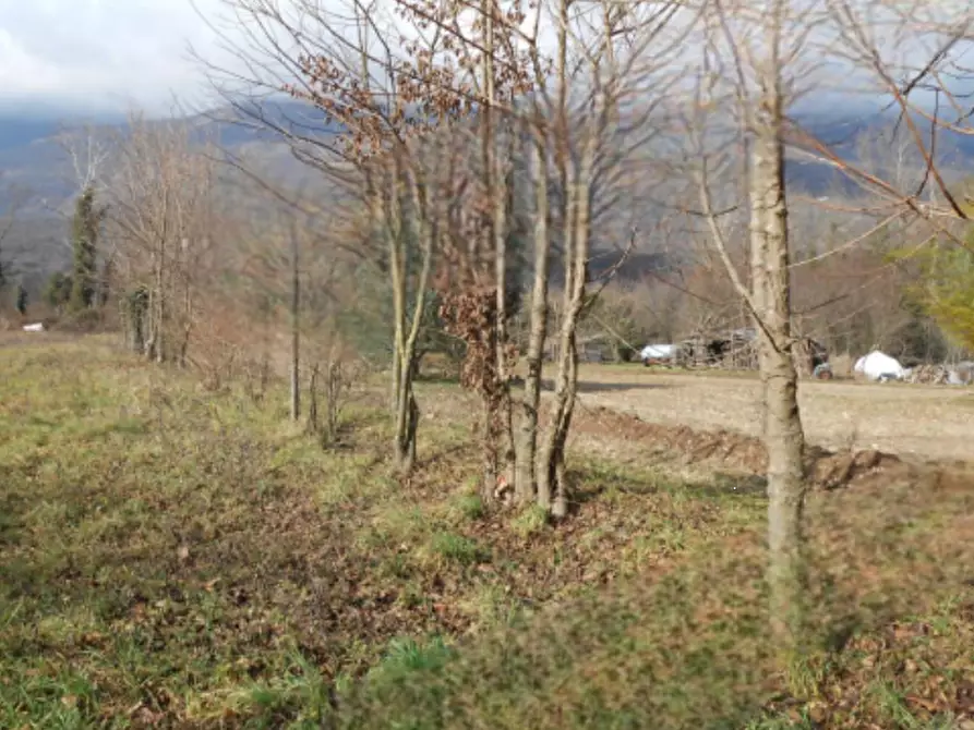 Immagine 7 di Terreno agricolo in vendita  in via giovanni minzoni a Aviano