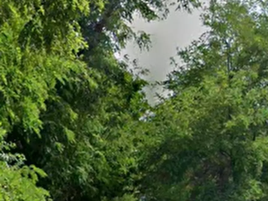 Immagine 5 di Porzione di casa in vendita  in Cascina Mombello a Vische