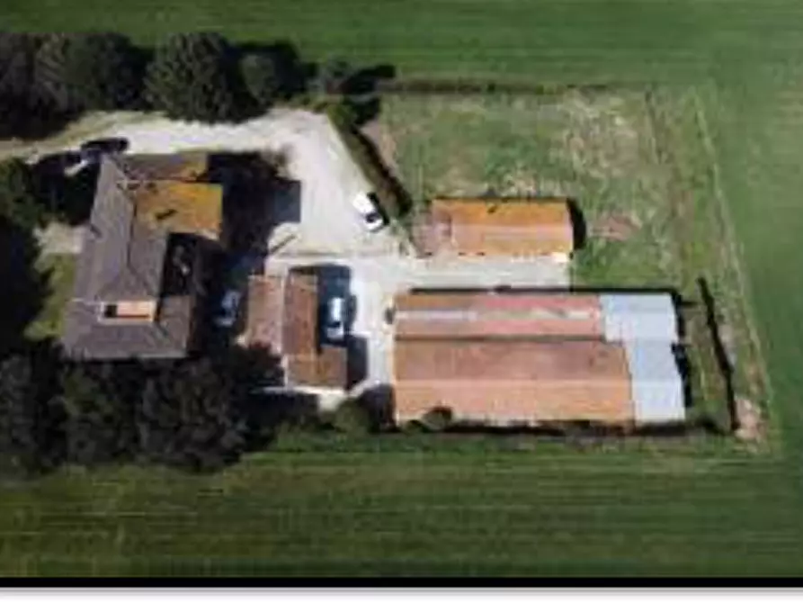 Immagine 3 di Stabile in vendita  in Viale del Popolo a Bastia Umbra