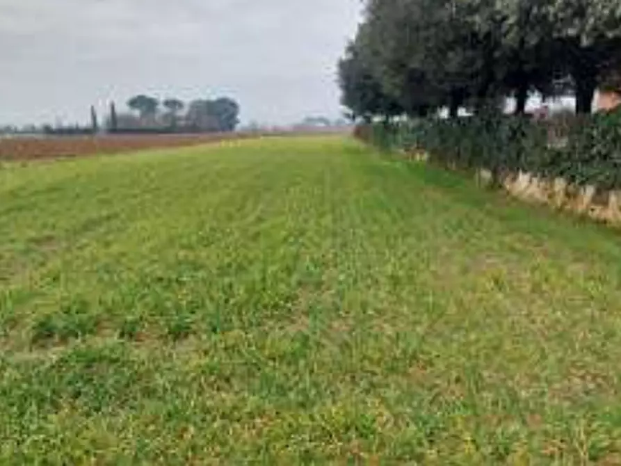 Immagine 17 di Stabile in vendita  in Viale del Popolo a Bastia Umbra