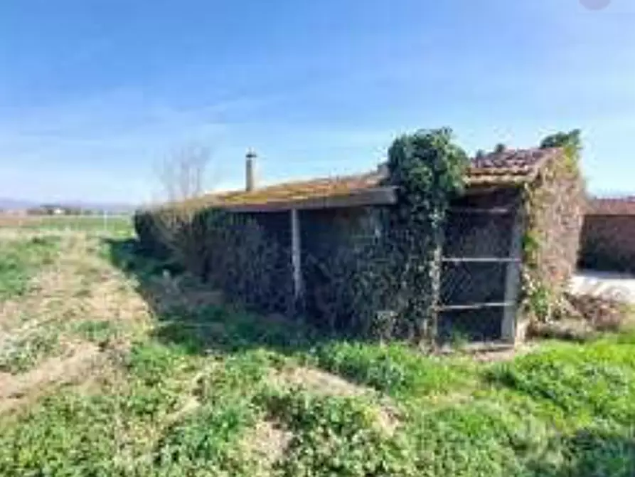 Immagine 21 di Stabile in vendita  in Viale del Popolo a Bastia Umbra