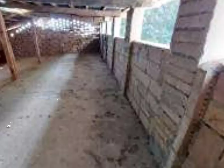 Immagine 25 di Stabile in vendita  in Viale del Popolo a Bastia Umbra