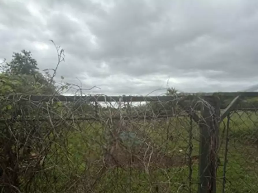 Immagine 1 di Terreno agricolo in vendita  in Via Santa Maria a Salassa
