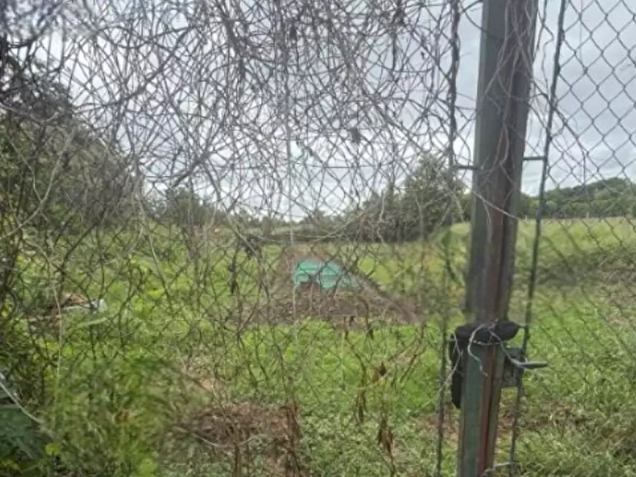 Immagine 2 di Terreno agricolo in vendita  in Via Santa Maria a Salassa