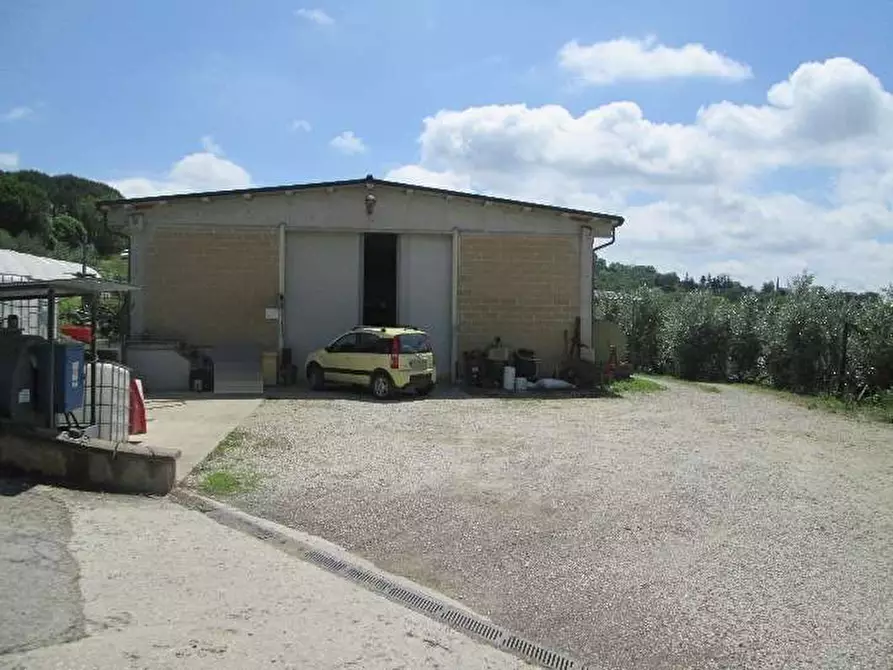 Immagine 2 di Capannone industriale in vendita  in Località Bacciana a Montone