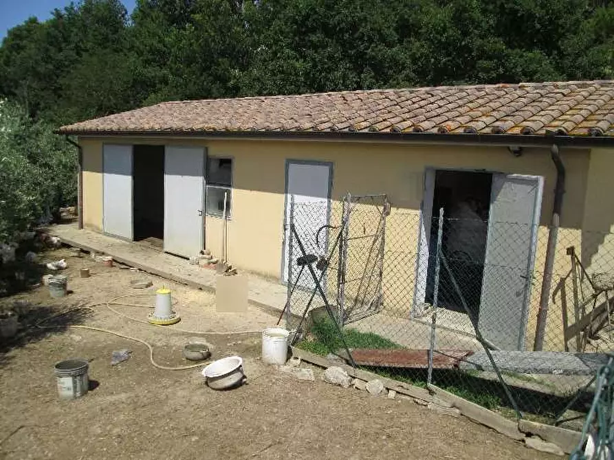 Immagine 3 di Capannone industriale in vendita  in Località Bacciana a Montone