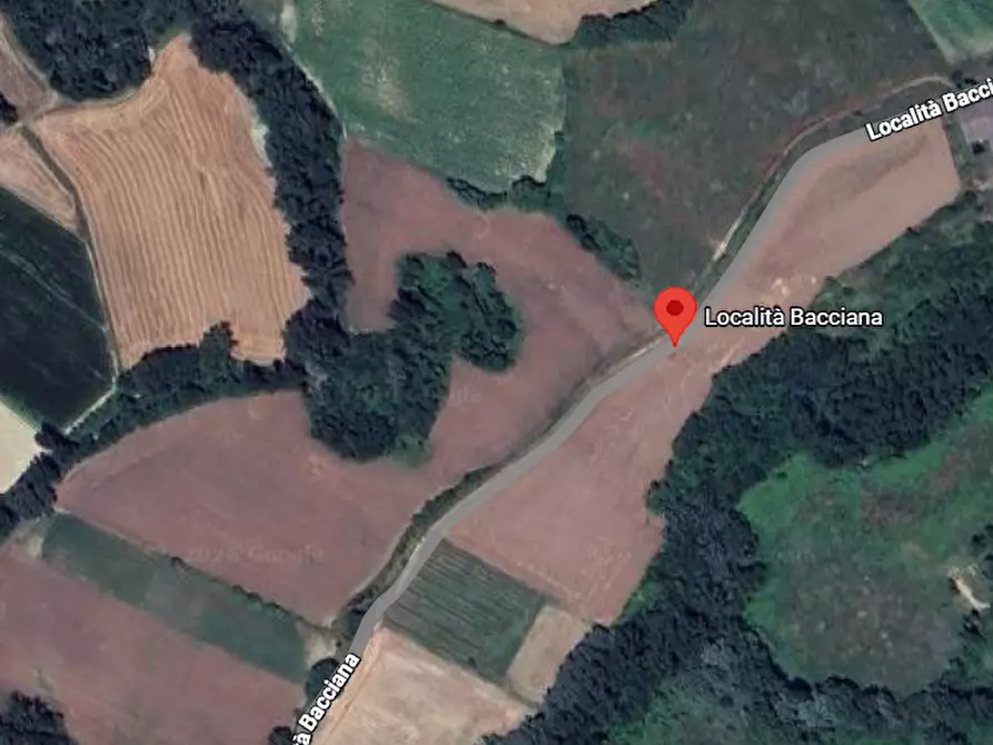 Immagine 7 di Capannone industriale in vendita  in Località Bacciana a Montone