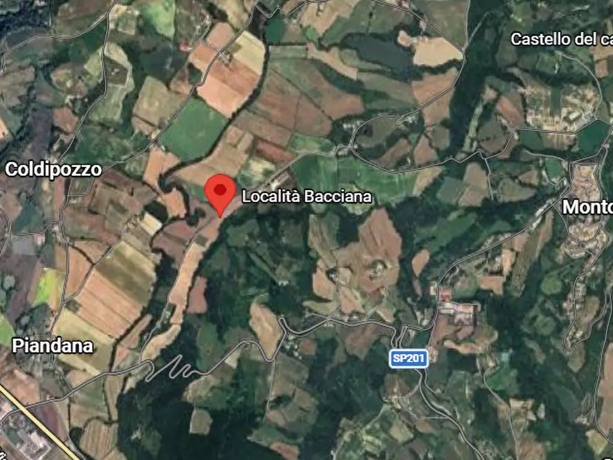 Immagine 8 di Capannone industriale in vendita  in Località Bacciana a Montone