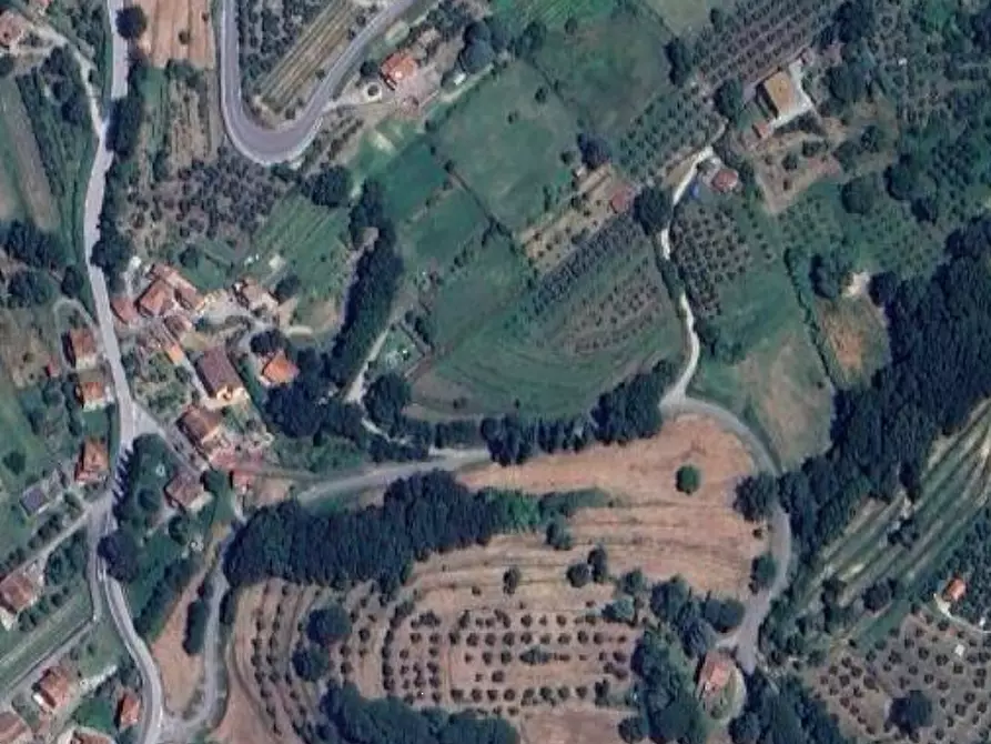 Immagine 5 di Terreno edificabile in vendita  in Viale Botanica a Monteleone D'orvieto