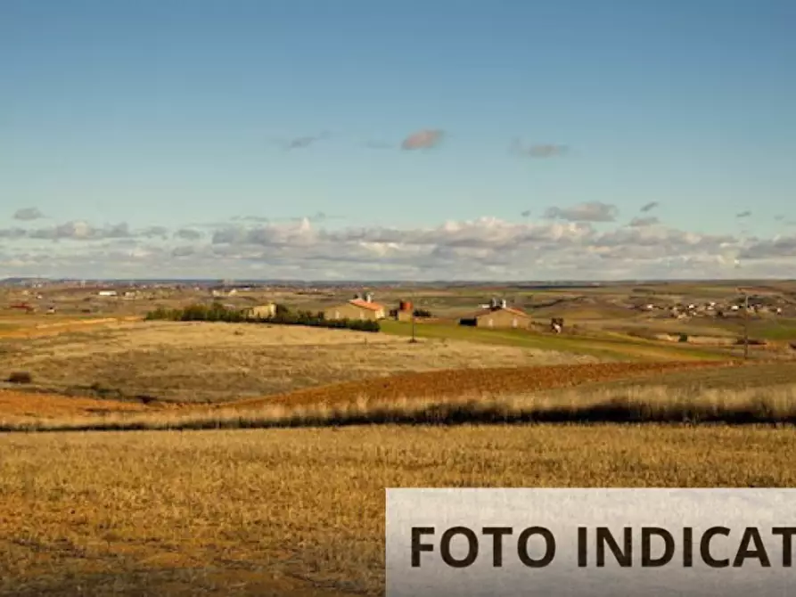Immagine 10 di Terreno edificabile in vendita  in Viale Botanica a Monteleone D'orvieto