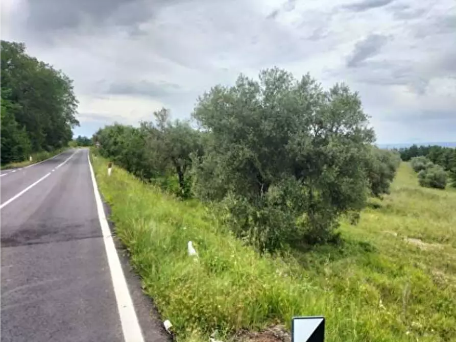 Immagine 10 di Terreno agricolo in vendita  in Strada Statale 71 a Ficulle