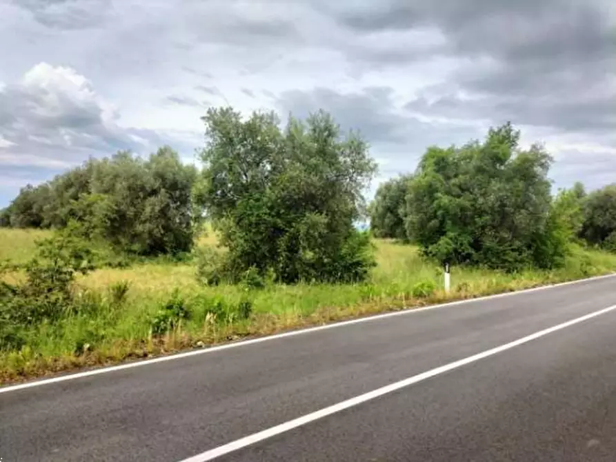 Immagine 15 di Terreno agricolo in vendita  in Strada Statale 71 a Ficulle