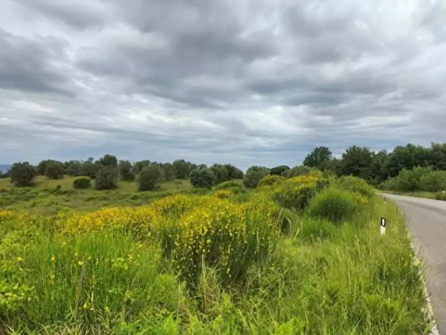 Immagine 16 di Terreno agricolo in vendita  in Strada Statale 71 a Ficulle
